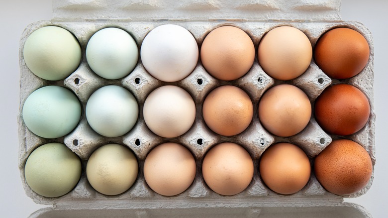 A carton off eggs ranging in color from green to blue to white, light brown, darker brown, and dark brown.