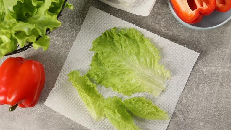 Drying lettuce on paper towel