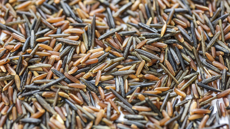 Grains of wild rice