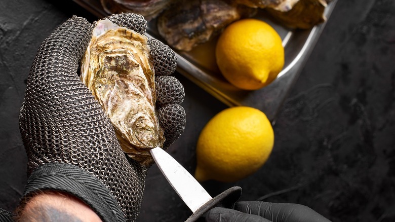 An oyster being shucked