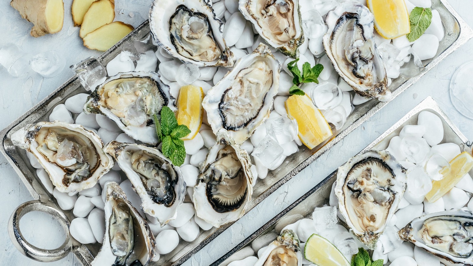 it-isn-t-actually-safer-to-eat-oysters-during-r-months