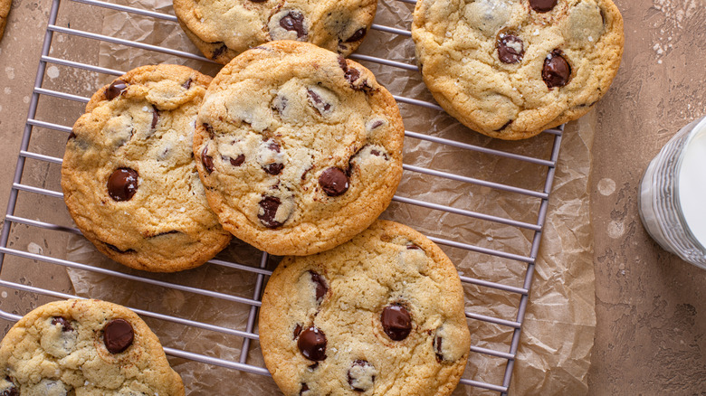 fresh baked chocolate chip cookies on cooling rack