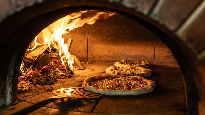 Wood burning pizza oven