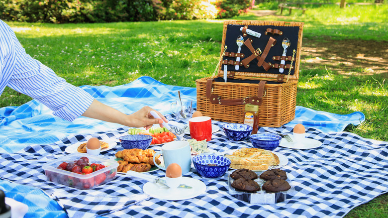 foods on picnic blanket