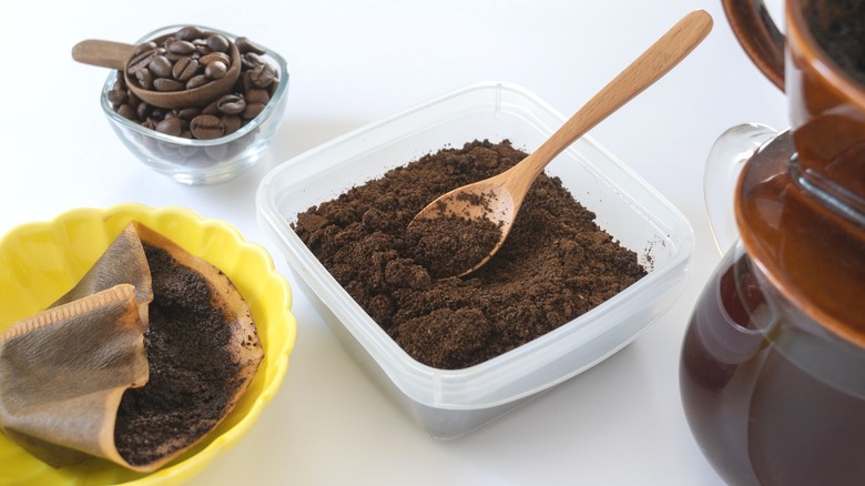 Coffee beans, ground coffee, used coffee filter, and pot of brewed coffee