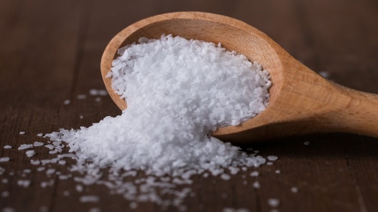 Wooden spoon of kosher salt