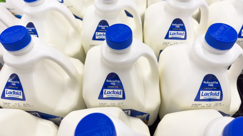 Top view jugs of Lactaid reduced fat milk