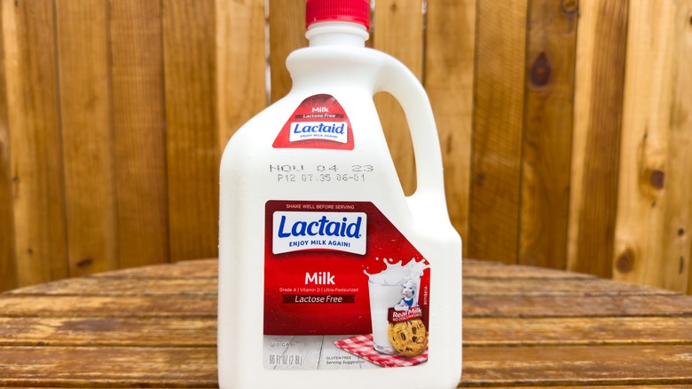 Jug of Lactaid whole milk