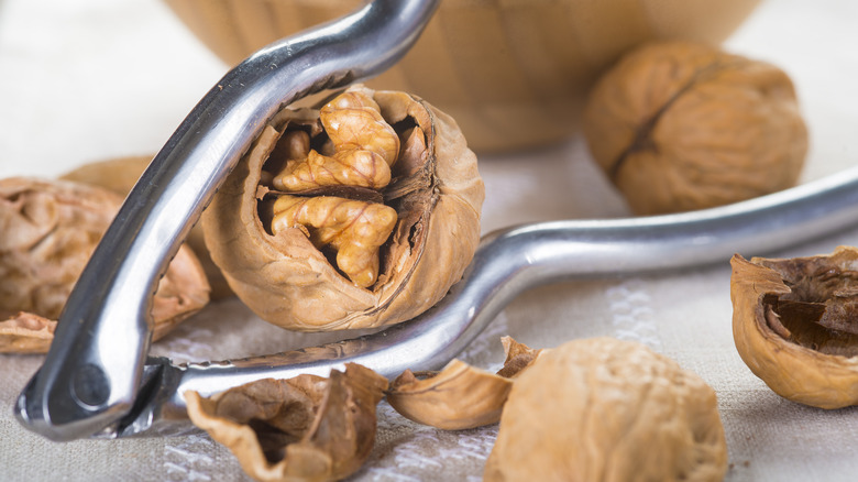 Shelling walnuts with nutcracker