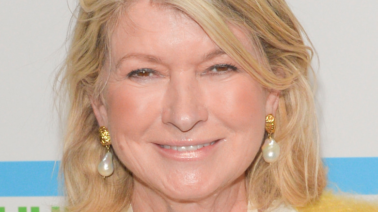 Martha Stewart Just Launched a MasterClass—Exclusive Clip