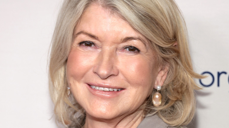 Martha Stewart's 'Best' S'mores Are Stirring Up A Fiery Debate