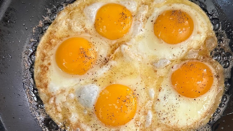 Martha Stewart fried eggs in a pan