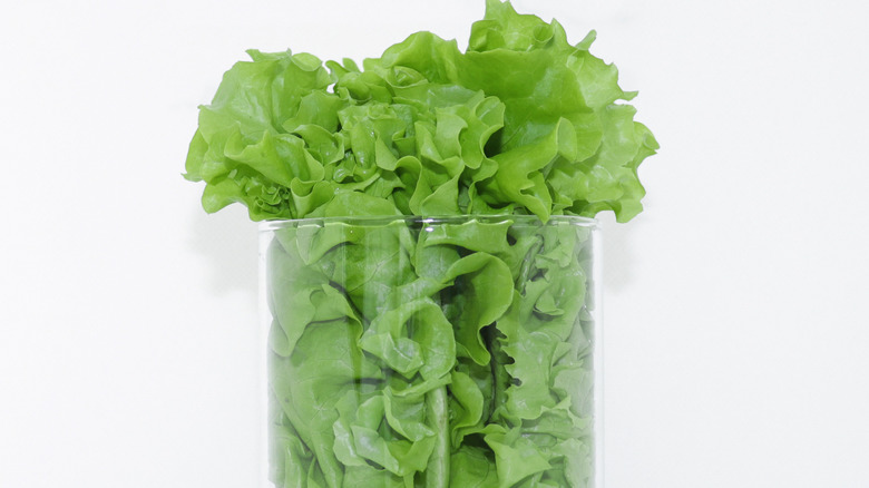 Lettuce leaves in jar