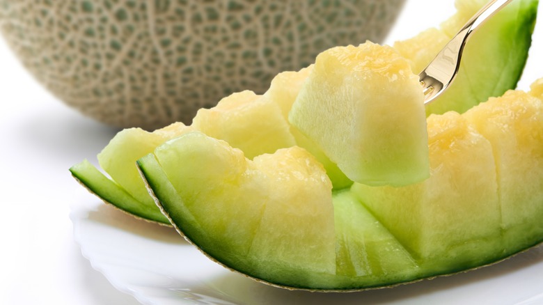 Crown melon being eaten with fork