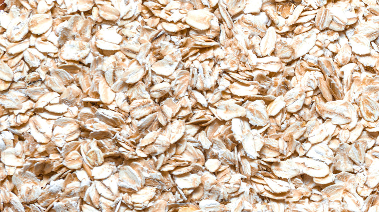 oatmeal grains closeup