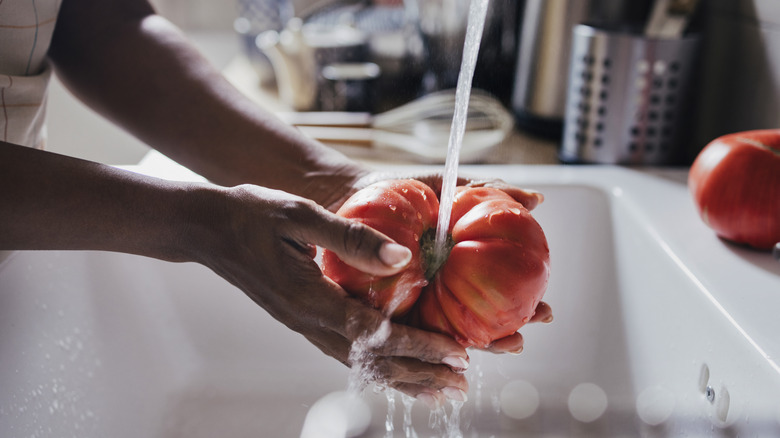 Person washing tomato
