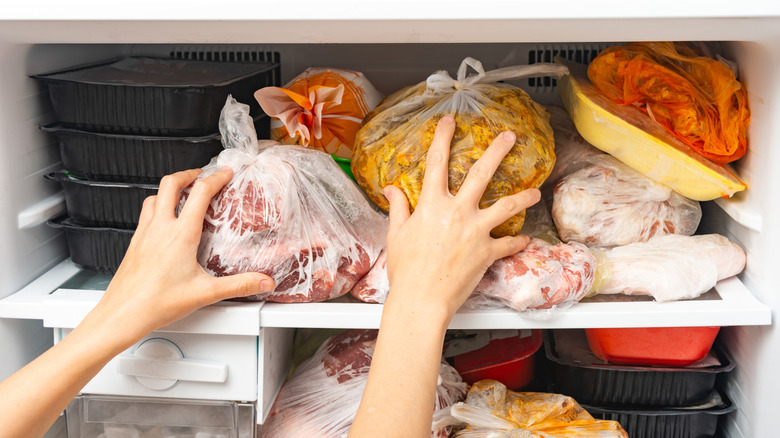 Hands putting bags of meat in freezer