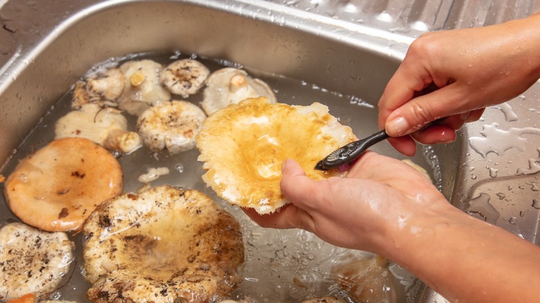 person scrubbing mushrooms with brush