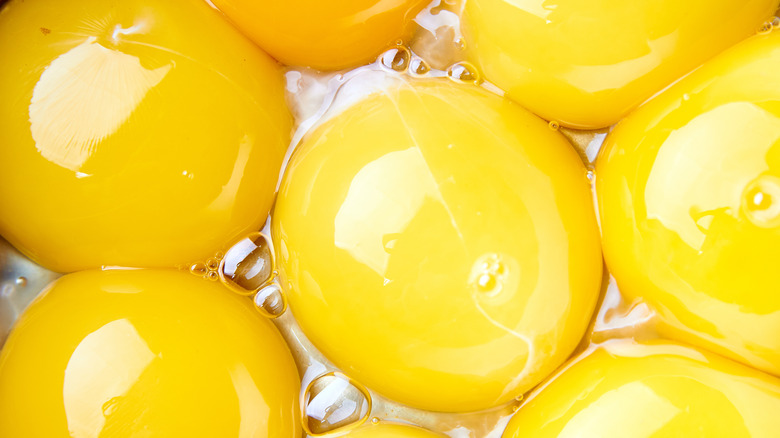 many egg yolks