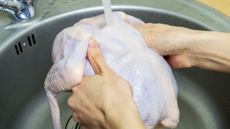 woman washing whole raw chicken in sink