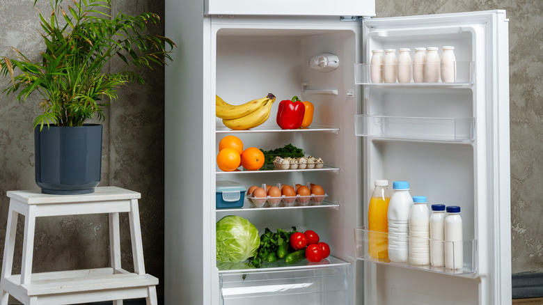 open fridge stocked with food