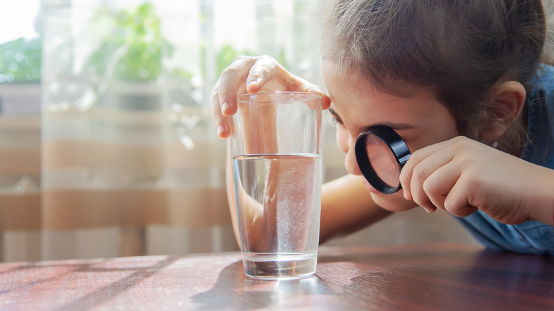 Child examining glass of water with magnifying glass