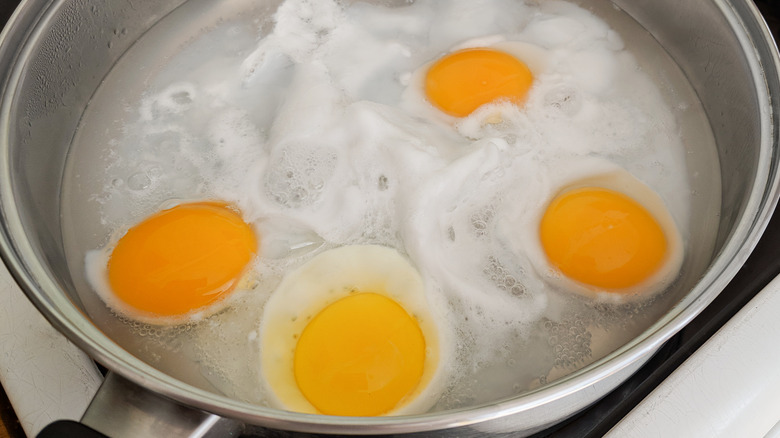 four eggs poaching in water