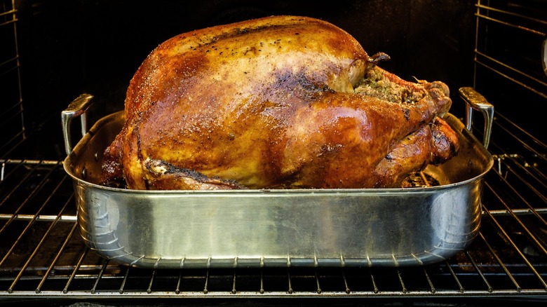 Whole roasted turkey in metal roasting pan on oven rack