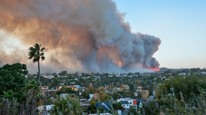 A wildfire burns across greenery and homes located in Los Angeles county