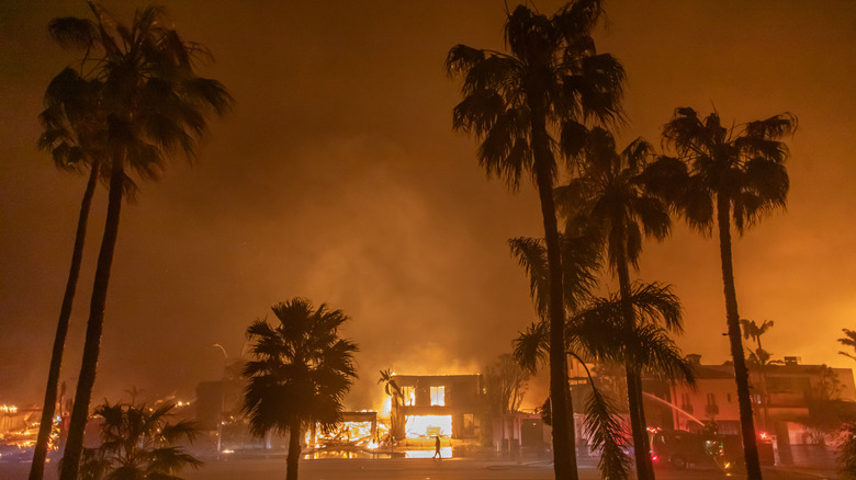 Palm trees sway in orange smoke as a home burns up in an LA wildfire