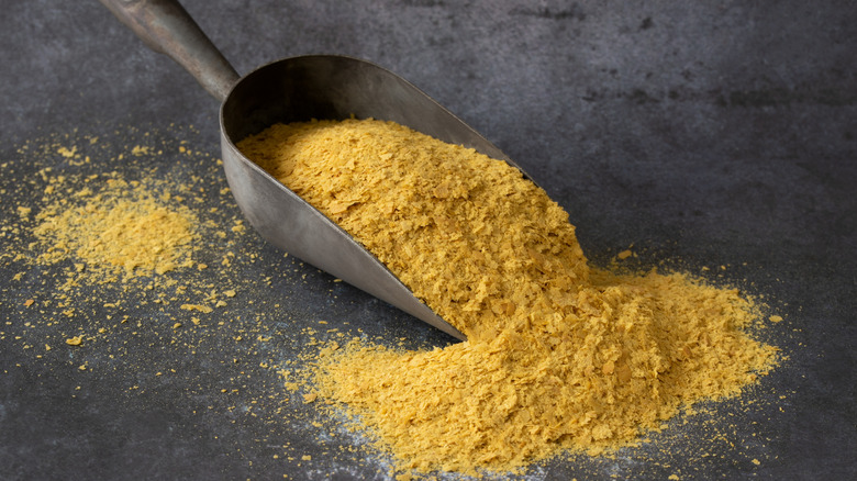 Nutritional yeast powder flakes in bulk scoop and scattered on table