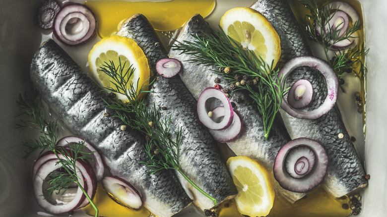 Pickled herring served with dill, lemon slices, and red onions