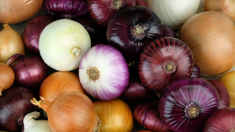 various types of onions next to each other