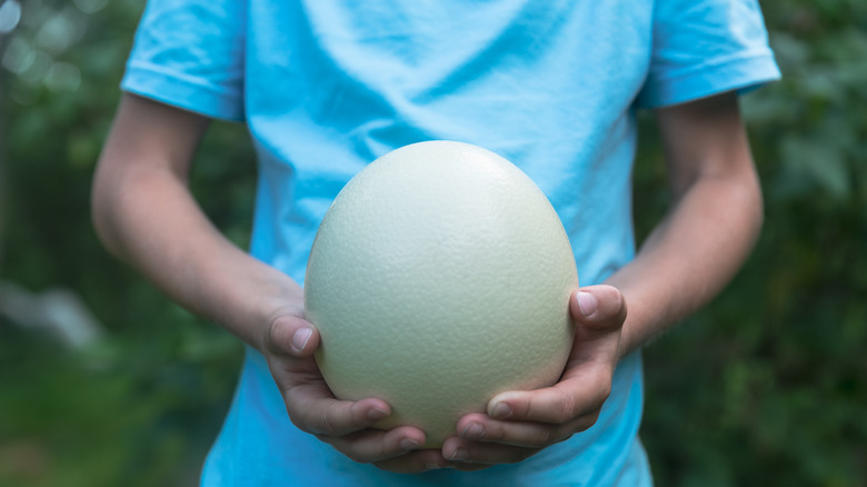 child holding ostrich egg