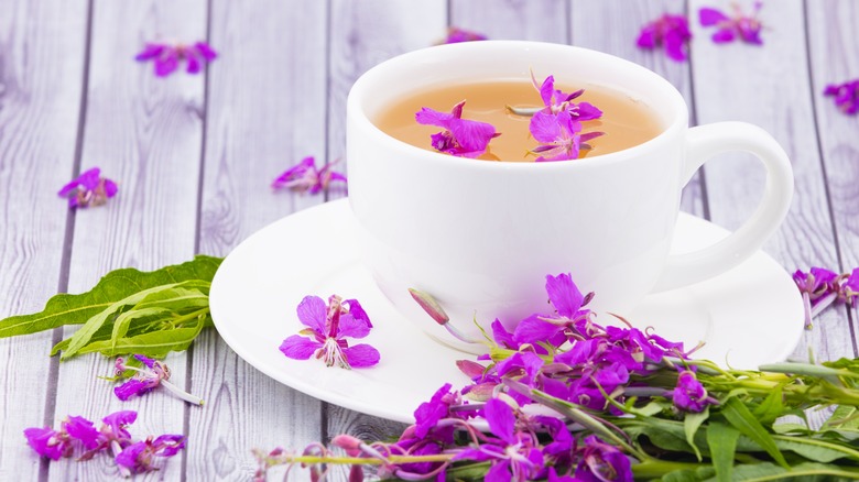 Cup of fireweed tea