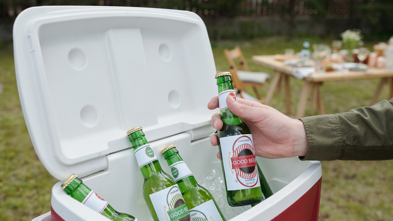 A hand reaches into a cooler to grab a bottle of beer