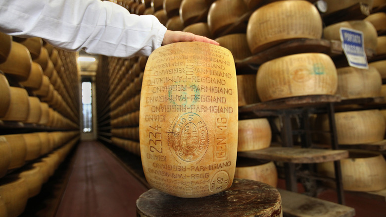 Cheese wheel with Parmigiano Reggiano stamped on it