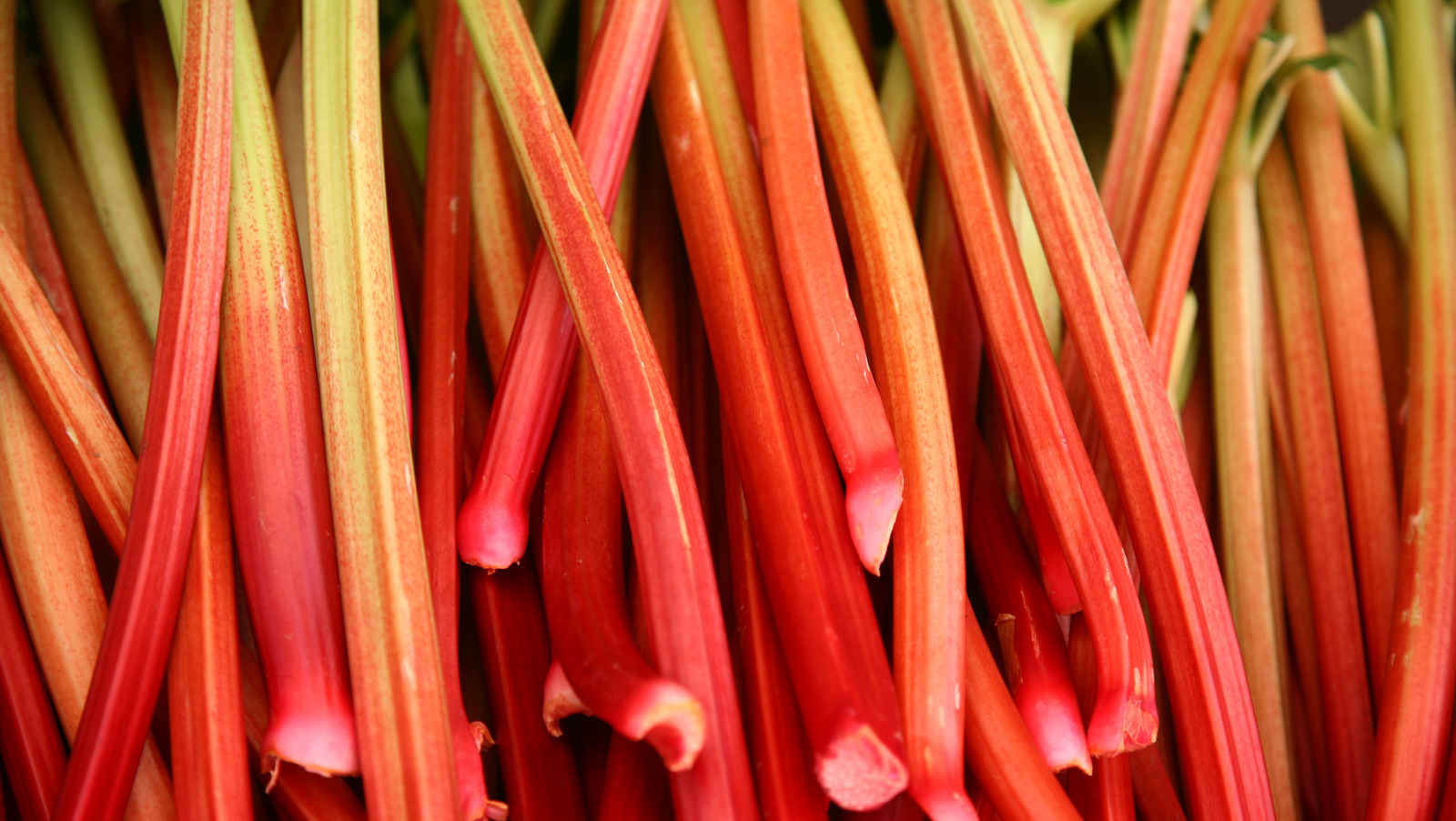 Peel Rhubarb Into Ribbons For A Sweet Twist On A Nostalgic Candy