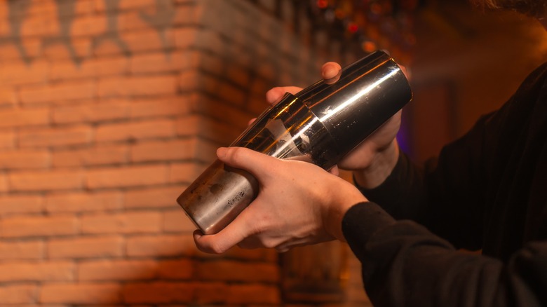 Person holding a cocktail shaker to mix a drink