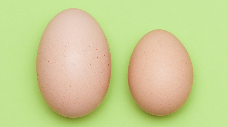 Chicken next to differently sized eggs
