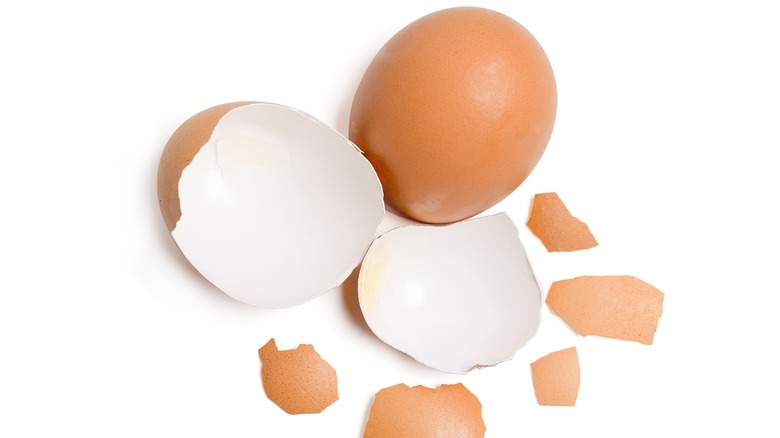 cracked brown eggshells on white surface