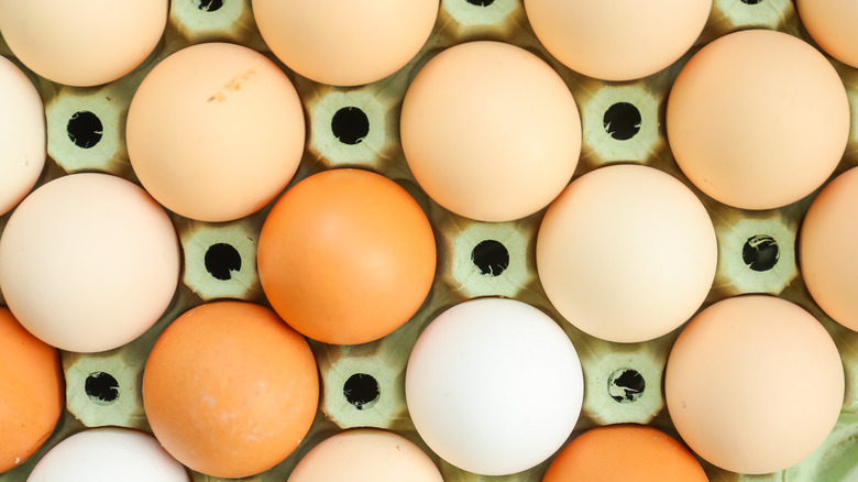 Close-up of eggs in cardboard carton