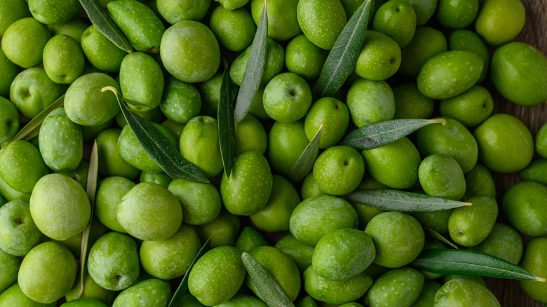 bright green freshly harvested olives with leaves scattered throughout