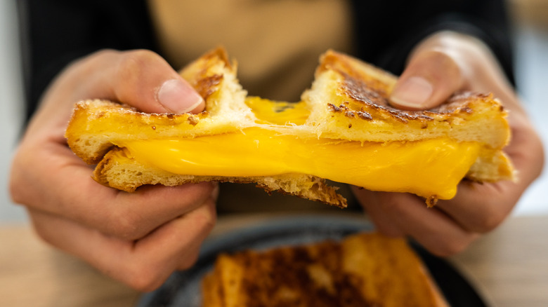 A classic grilled cheese