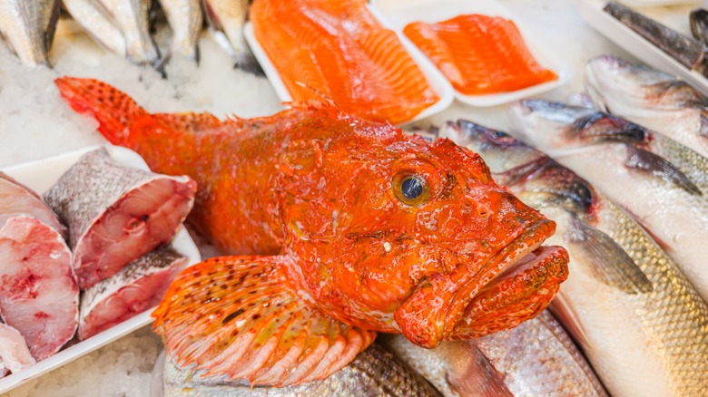 fresh rockfish in seafood market stall