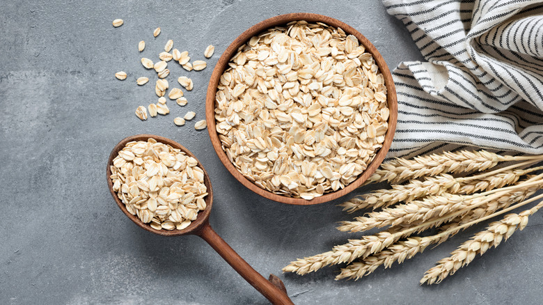 A wooden spoon of oats next to a bowl of oats and grain stalk