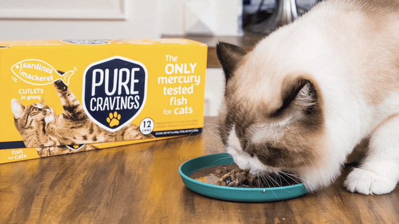 Cat eating Pure Cravings food