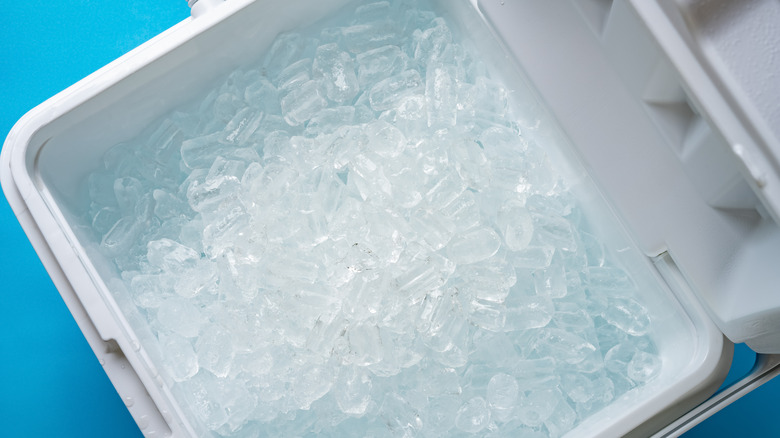 cooler full of ice