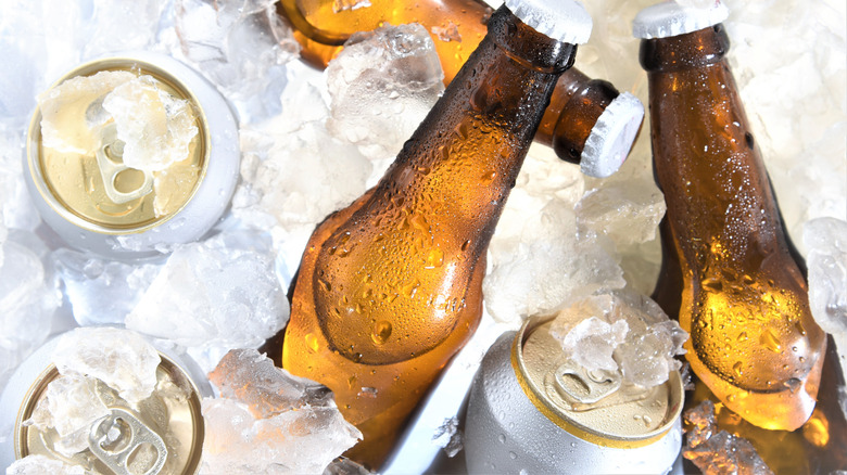 Bottles and cans of beer on ice