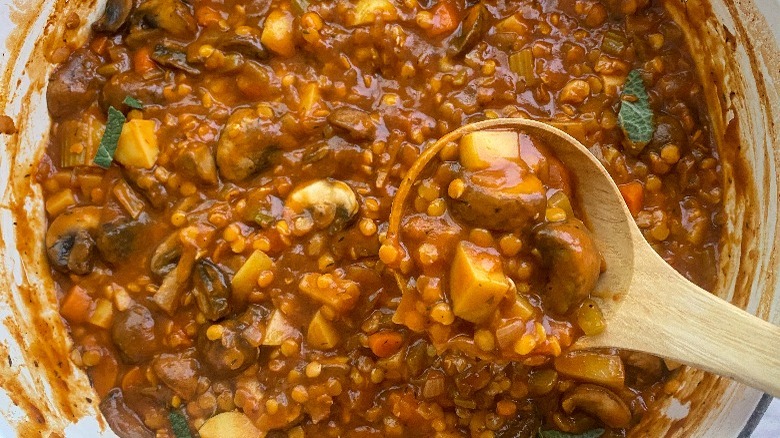 stew in large pot with ladle